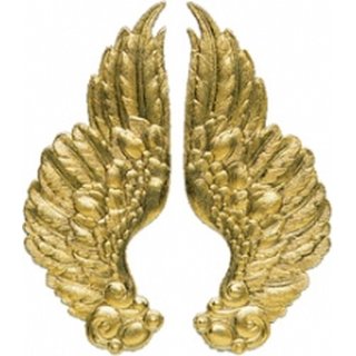 Engelflügel gold, 1 Paar