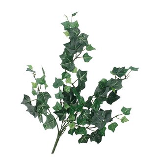 Efeu x5, 46 cm, 96 Blätter Englischer Efeu