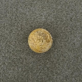 Halbedelstein-Perle Jaspis Landschaft, 8 mm