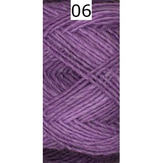 L 432 Fenice 06