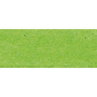Blumenseide matt 50x70 cm apfelgr�n