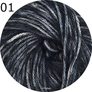 L 481 Cabello 01