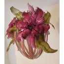 Blumen-Ei magenta